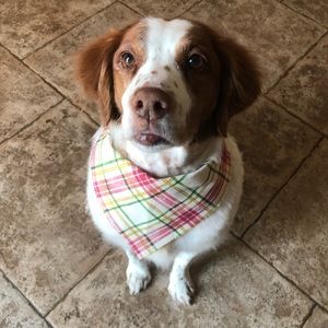 Meet your Posher, Clara